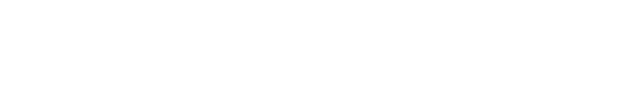Village Realty of North Carolina